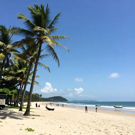 Transfer em Ubatuba: Transporte Confiável para seus Passeios Transfer em Ubatuba: Transporte Confiável para seus Passeios